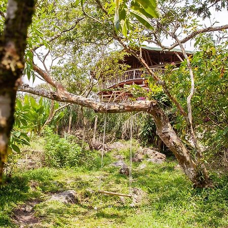 Ecofinca Fuente Alegre ココルナ エクステリア 写真