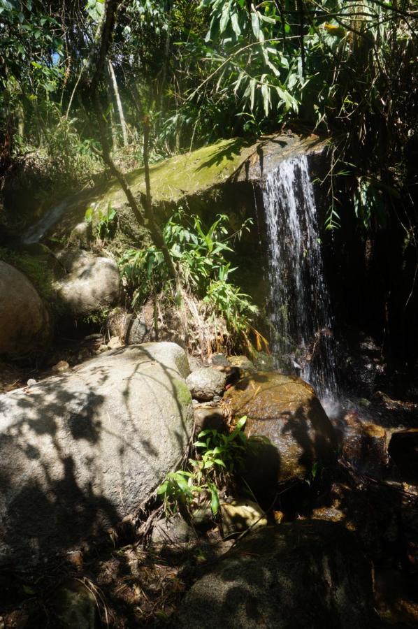 Ecofinca Fuente Alegre ココルナ エクステリア 写真