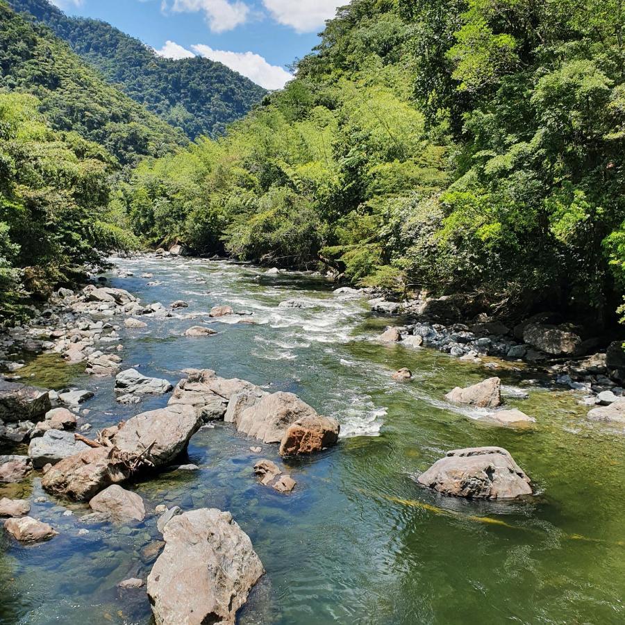 Ecofinca Fuente Alegre ココルナ エクステリア 写真