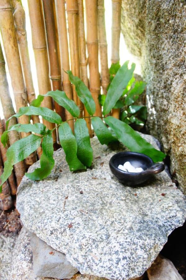 Ecofinca Fuente Alegre ココルナ エクステリア 写真