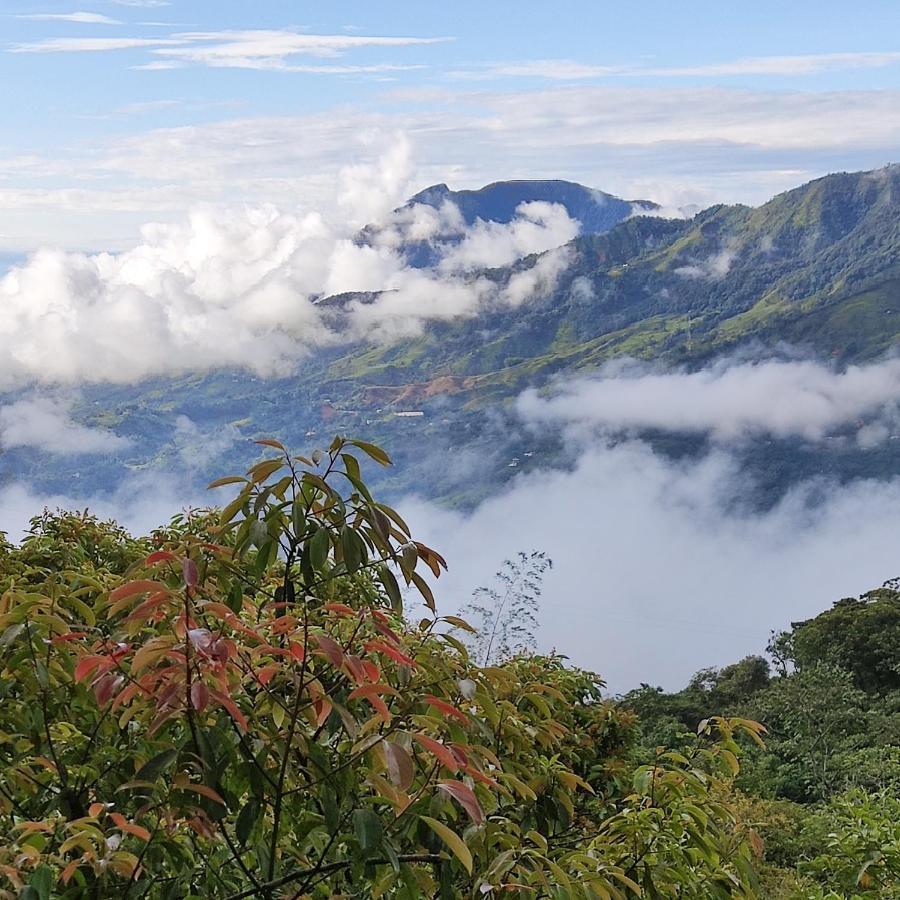 Ecofinca Fuente Alegre ココルナ エクステリア 写真