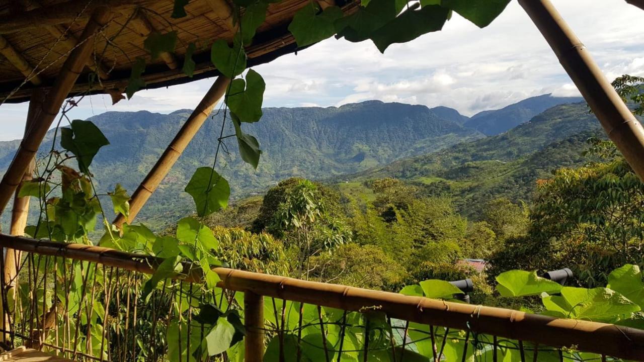 Ecofinca Fuente Alegre ココルナ エクステリア 写真