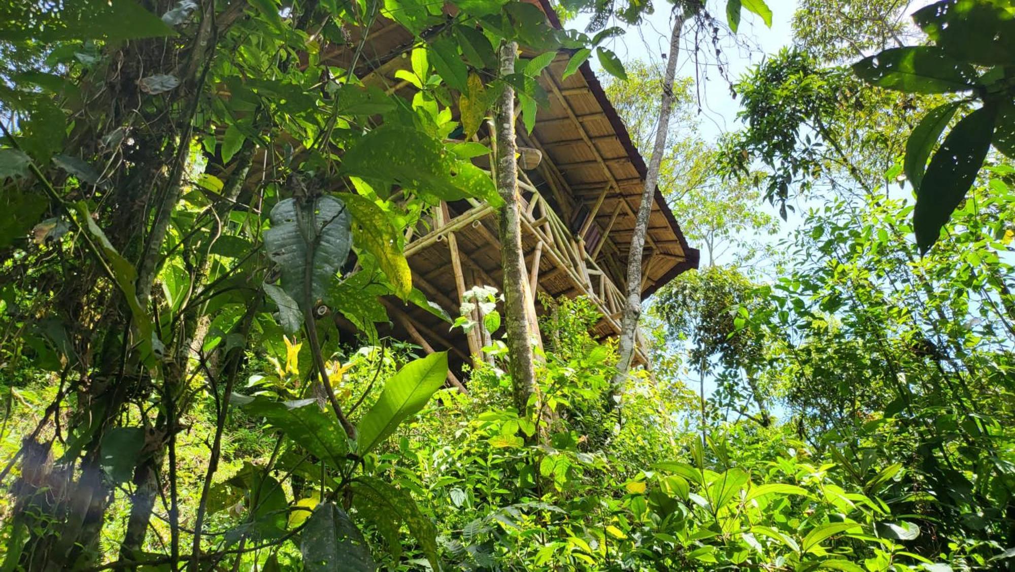 Ecofinca Fuente Alegre ココルナ エクステリア 写真