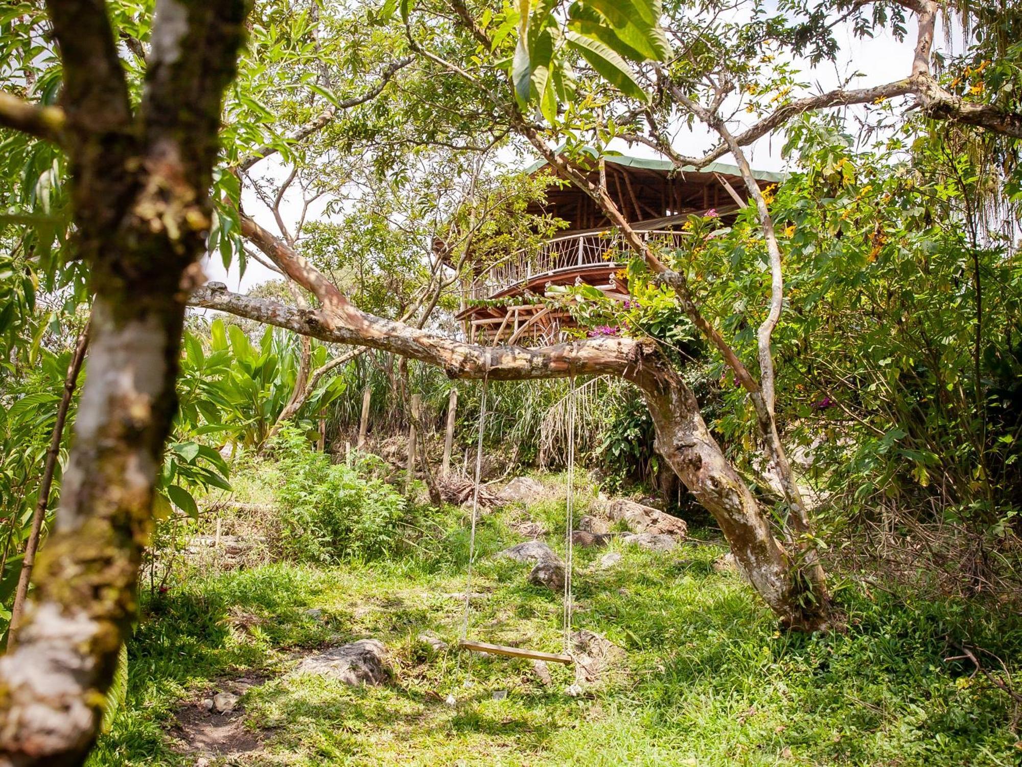 Ecofinca Fuente Alegre ココルナ エクステリア 写真