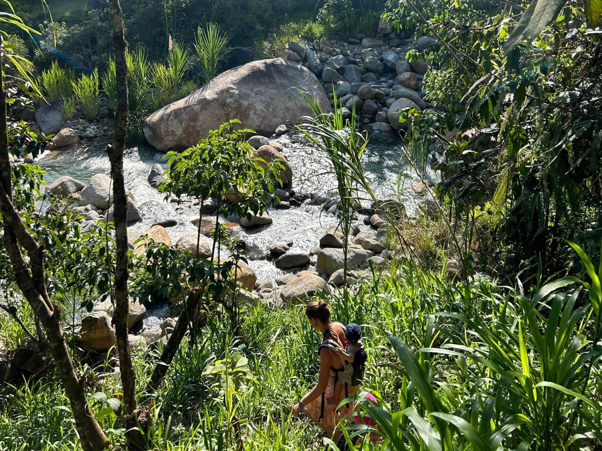 Ecofinca Fuente Alegre ココルナ エクステリア 写真