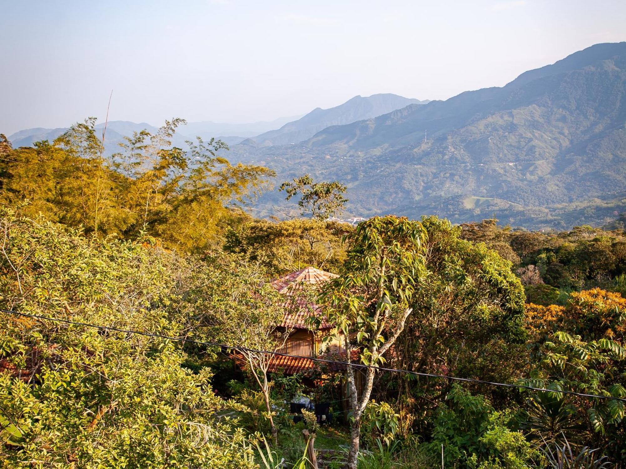 Ecofinca Fuente Alegre ココルナ エクステリア 写真